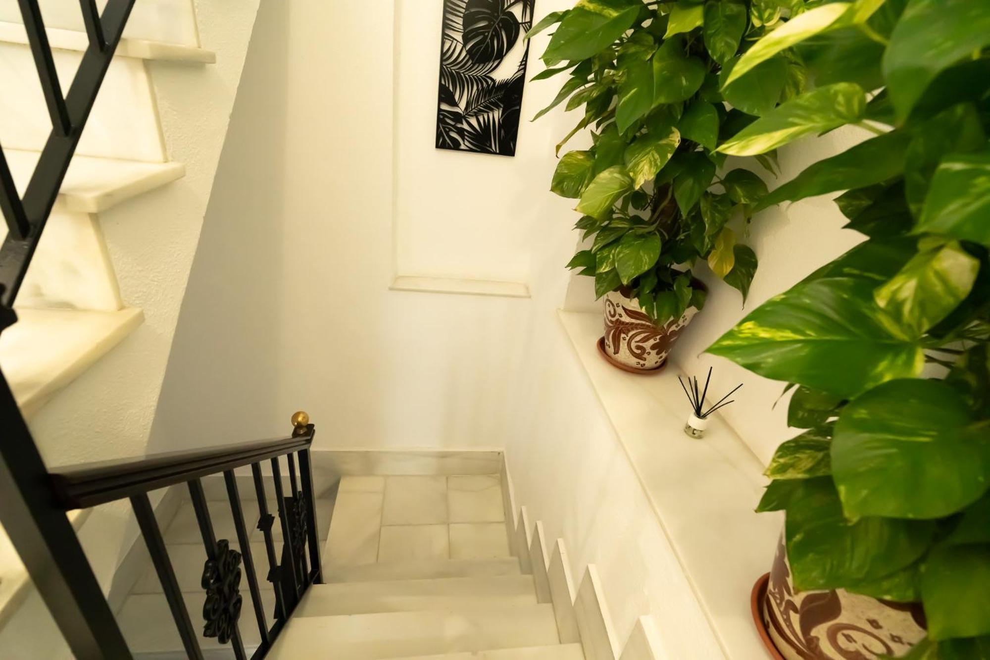 Apartamentos Consistorio Live Jerez de la Frontera Ngoại thất bức ảnh